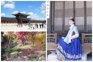 Į Seulą nuskridusi studentė: „Visi patarimai tarsi išgaravo“