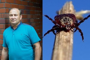 Erkė kiekvieną vyriškio žingsnį pavertė kančia