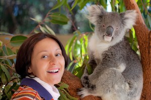 Koalas ir žmones sieja neįtikėtina savybė