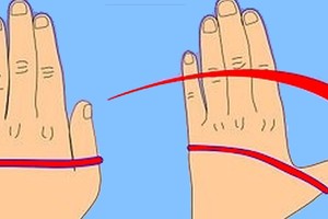 Atlikite šį veiksmą: rezultatas patiks