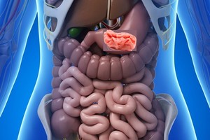 Privalote žinoti, kas nutinka, jei praryjate kramtomąją gumą