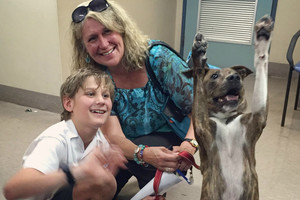 Šeima iš prieglaudos pasiėmė šunį ir užfiksavo jo reakciją