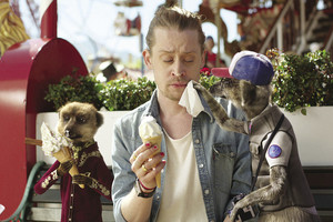 Žvaigždžių savaitėje – Macaulay Culkino sugrįžimas prie vaidybos