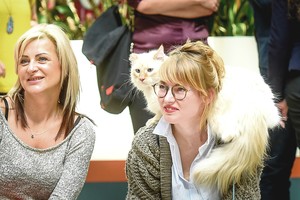 Tapti vegetare aktorę Beatą Tiškevič privertė katinas