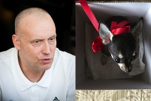 Rimas Kurtinaitis šokiruotas: sukandžiotas jo šuo – klinikoje