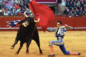 Ispaniją suskaldė buliaus nudurto matadoro mirtis