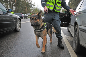 Po festivalio „Radistai Village 2016“ – 7 tyrimai dėl narkotikų