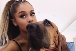Ariana Grande išsiskyrė: „Gyvenimas yra audringas“