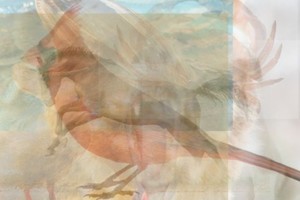 Testas ir optinė iliuzija viename: kiek matote gyvūnų?