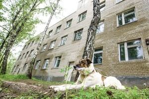 Visaginas nori gyventi – tik ar jam pavyks?