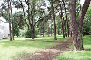 Palanga supyko – grumsis su verslininkais dėl istorinio parko