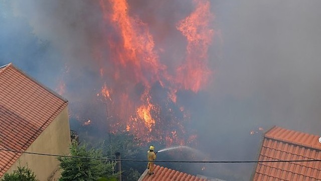 Portugalijoje plintant miškų gaisrams žuvo trys žmonės