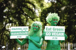 Gyvūnų gynėjai užsimanė pervadinti Kiaušinių ir Šoninės įlanką