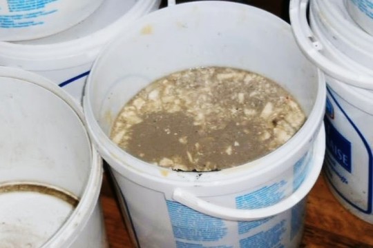 Inspektorių darytos nuotraukos kebabinėse šokiruoja