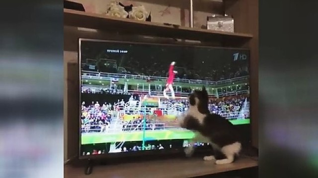 Mirk iš juoko: katei olimpinės žaidynės tapo neeiline atrakcija
