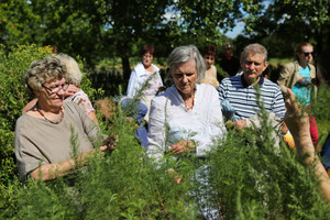 Rumšiškėse žolininkės atskleidė, kas neša pinigus ir sėkmę