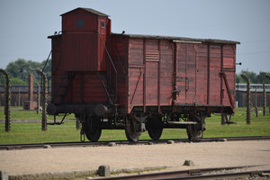 Lenkija sieks bausmės už terminą „Lenkijos mirties stovyklos“