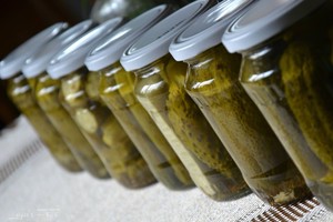 Neįtikėtina: vienas, du – ir 12 stiklainių agurkų užmarinuota