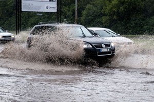 Prapliupo liūtis. Geriau važiuoti įprastu modeliu ar visureigiu?