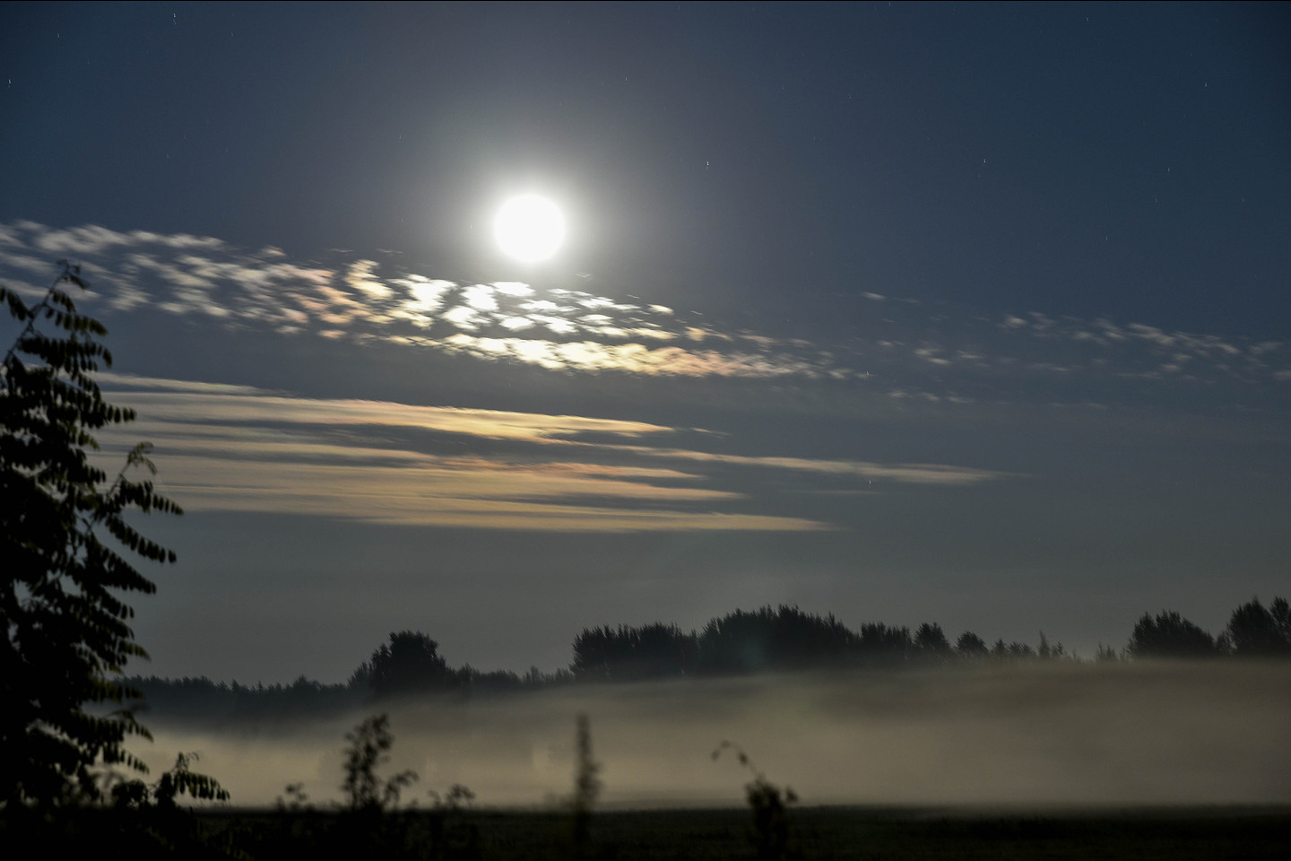Žvaigždžių magija Būtėnų kaime<br>V. Ščiavinsko nuotr.
