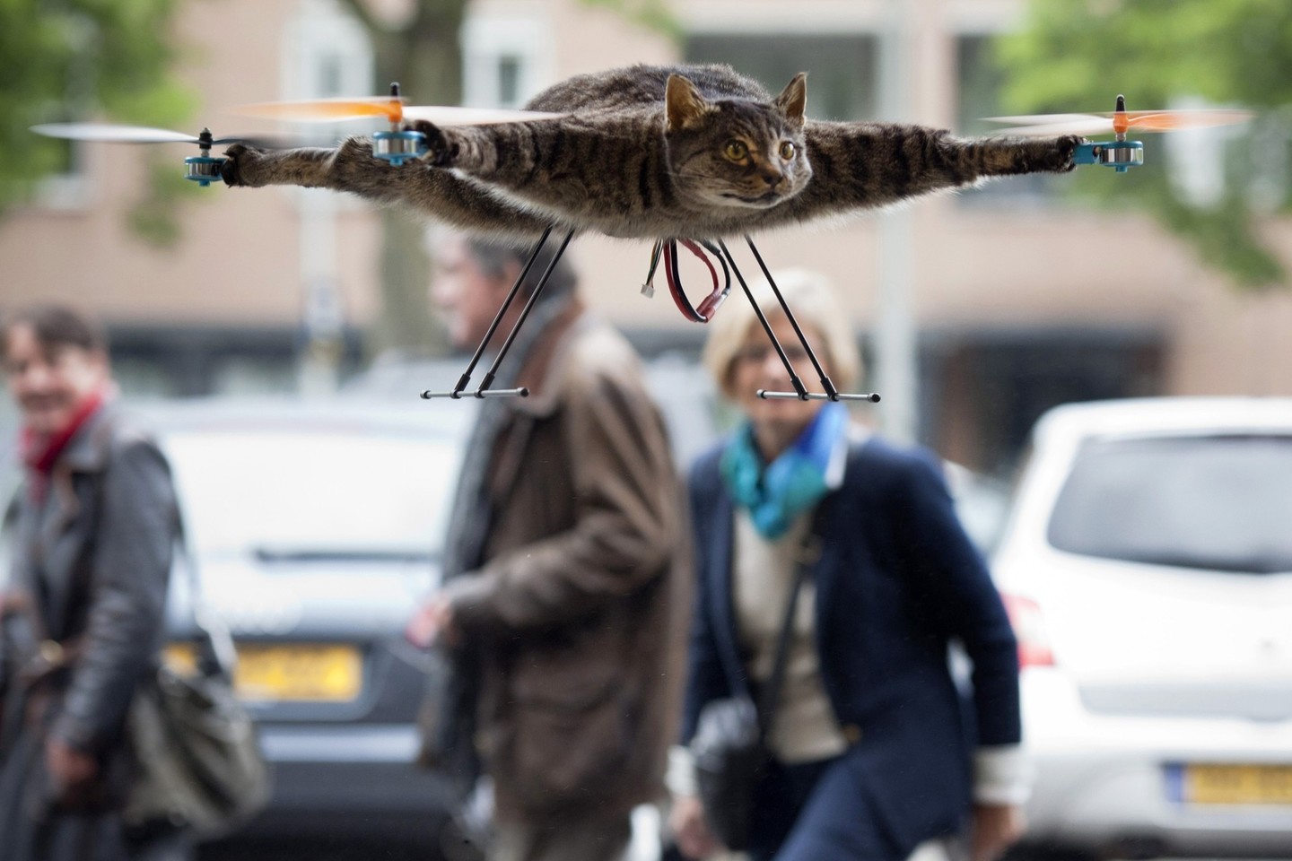 B.Janseną pasaulyje išgarsino jo „skraidanti katė“.<br>Reuters/Scanpix nuotr.