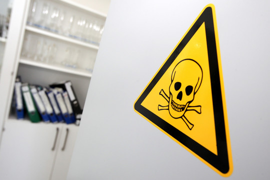 Koldūnų skandalas: įtarimai dėl klastotų tyrimų rezultatų