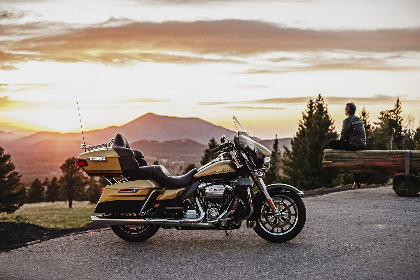 „Harley-Davidson“, kad naujojo variklio vibracija tuščia eiga bus mažesnė, tačiau klasikinis pojūtis išliks.<br>Gamintojo nuotr.