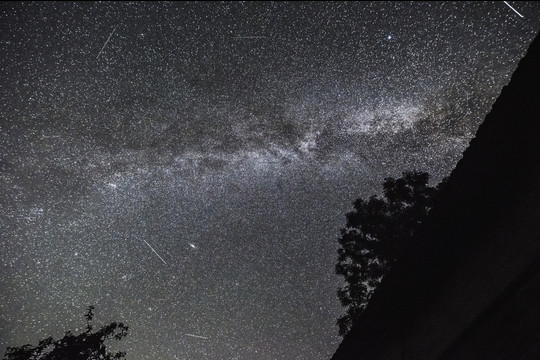 Naktinė žvaigždžių medžioklė<br>V.Ščiavinsko nuotr.