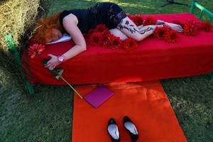 Grafikės J.Rekevičiūtės virtualios parodos pristatyme – lėktuvas