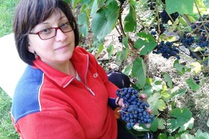 Jei tuo pasinaudosite, saldžiausių vynuogių užsiauginsite ir čia