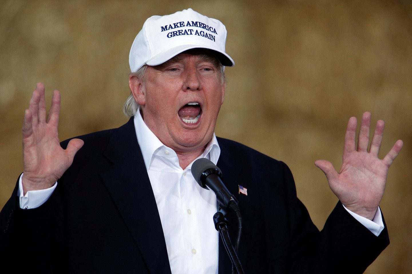 D.Trumpas išdėstė pasiūlymus, kaip sekti nelegalus.