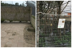 Klaipėdos zoologijos sodo lankytojai nuo vaizdų plyšo širdis