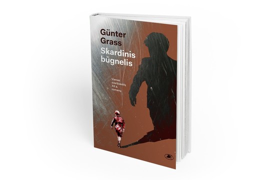 Lrytas.lt biblioteka. Günteris Grassas. „Skardinis būgnelis“