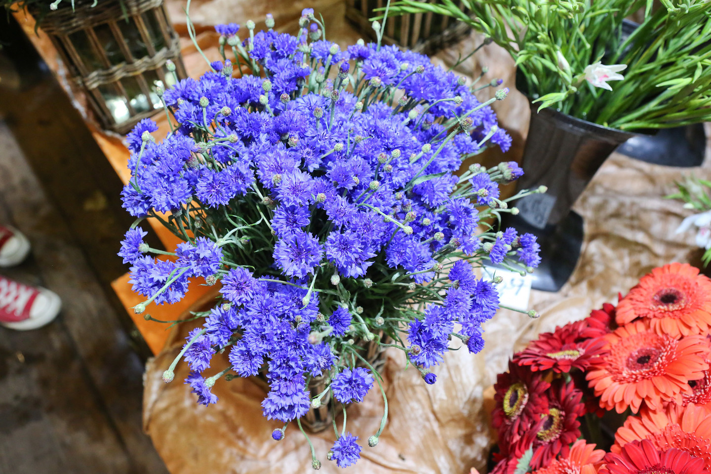 Gatvėje ir turguje gėles parduodantys žmonės nekantriai laukia vienos daugiausia jiems pelno atnešančių švenčių – Rugsėjo 1-osios.<br>G.Bitvinsko nuotr.