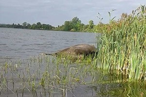 Tvenkinyje prie Kėdainių – labai nemalonus žvejo radinys
