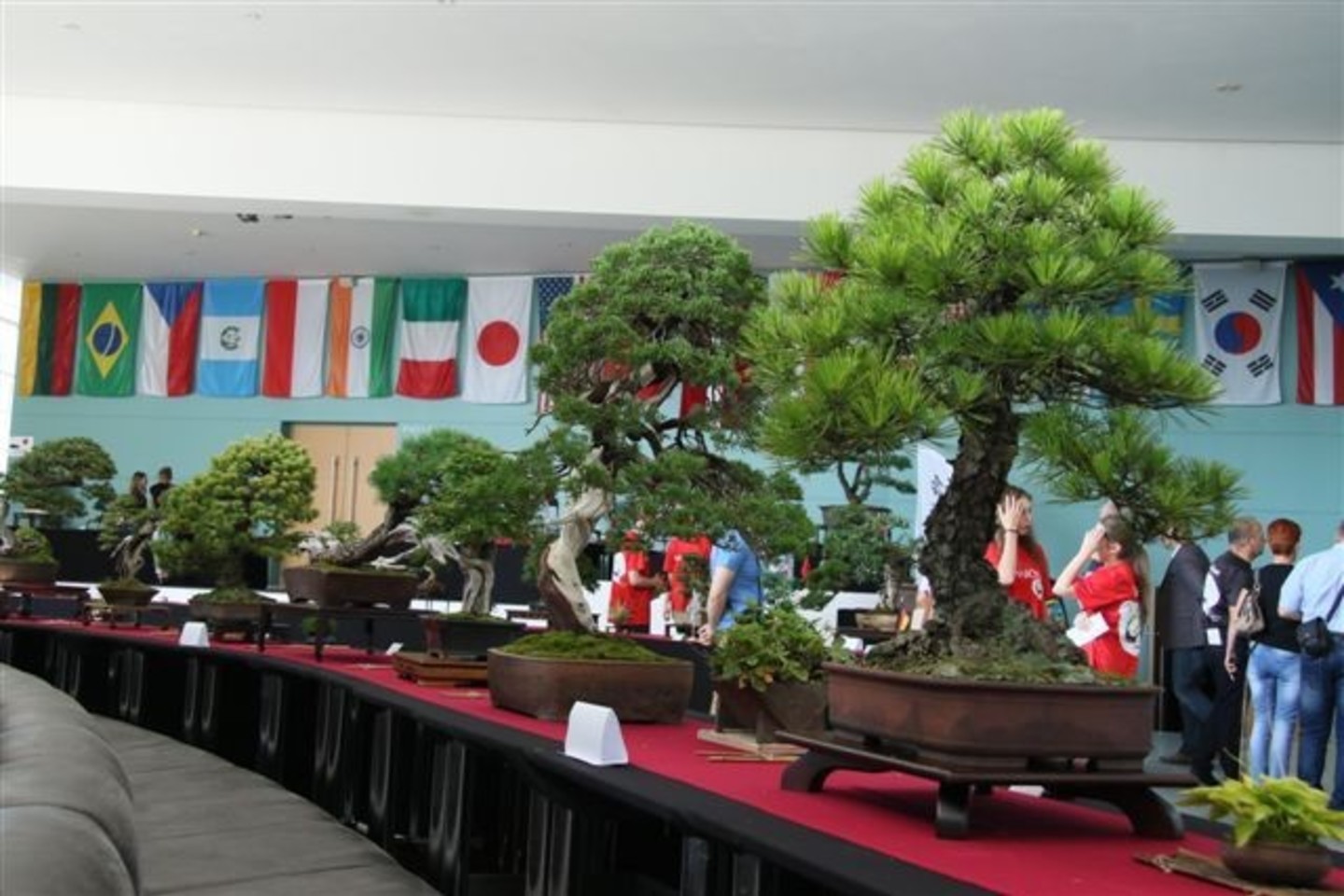 Alytaus miesto teatre įsikūrė spalvinga Japonijos kultūros salelė.