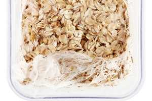 Kruopose radote netikėtų „dovanėlių“? Štai ką reikia daryti