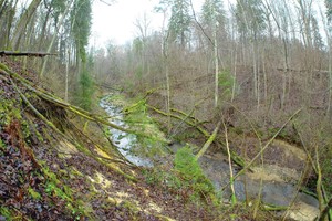 Monstrai: policija banditams spendžia spąstus (7)