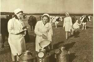 Antano Sniečkaus albumai: kaip sovietai kėlė Lietuvos ūkį (3)