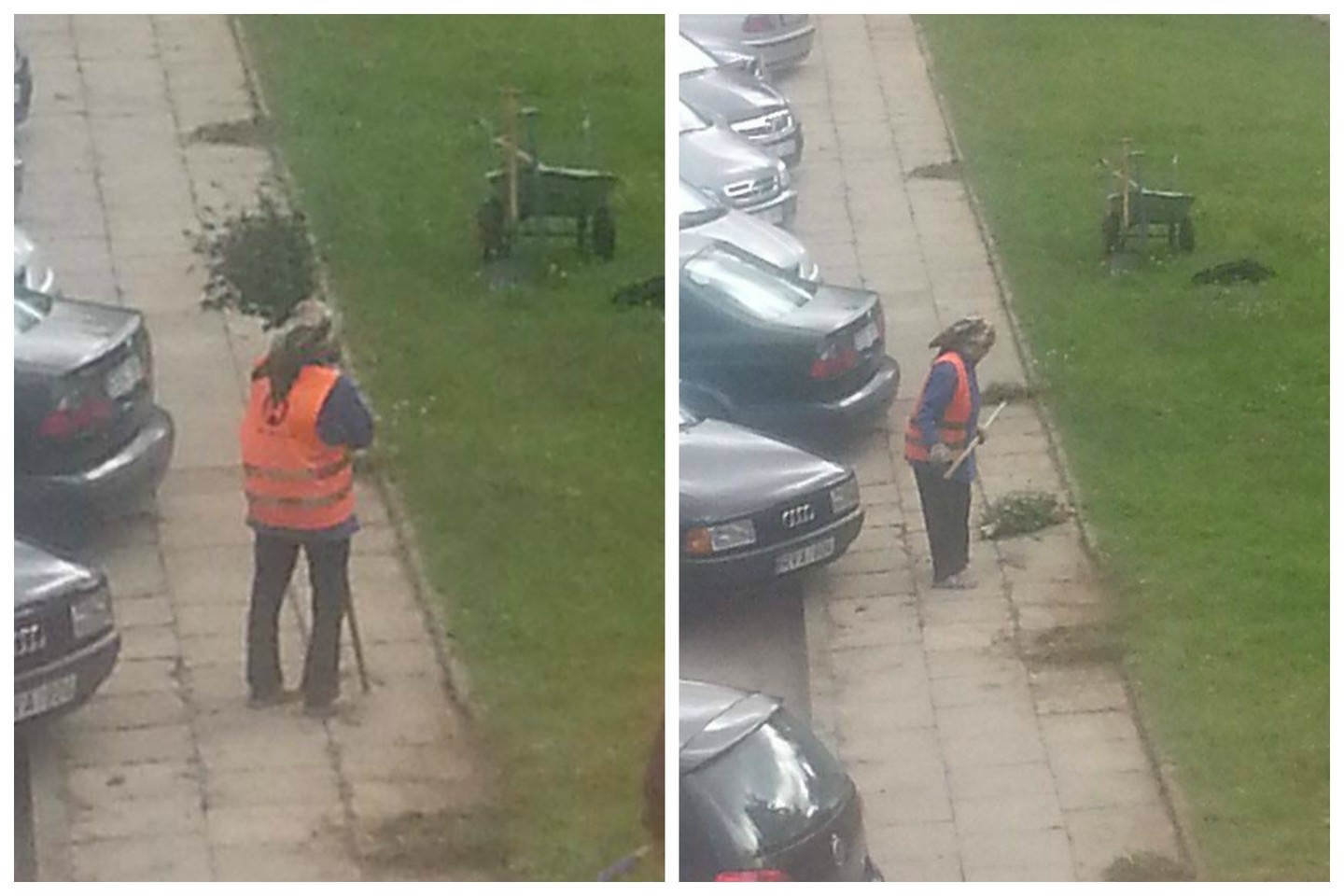 Ar vytelių šluota yra tinkama švarinti sostinės gatvėms?