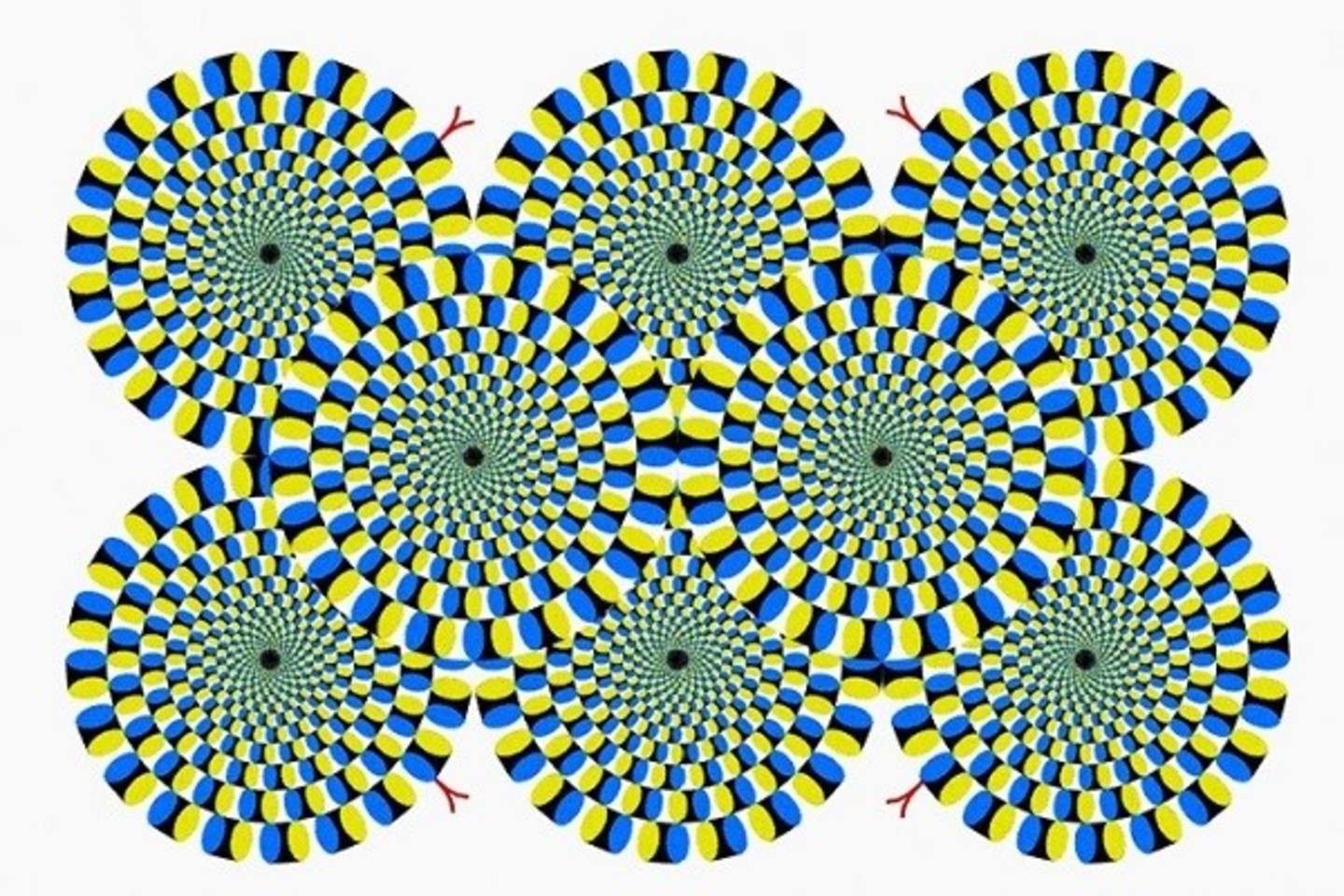 Optinių iliuzijų suvokimas skiriasi nuo to, kaip esame pailsėję.<br>Socialinių tinklų pav.