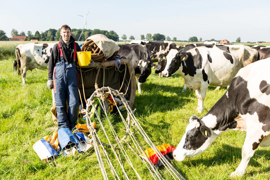 Oreivių nuotykiai: nuogos moterys, grasinimai šauti ir karvės