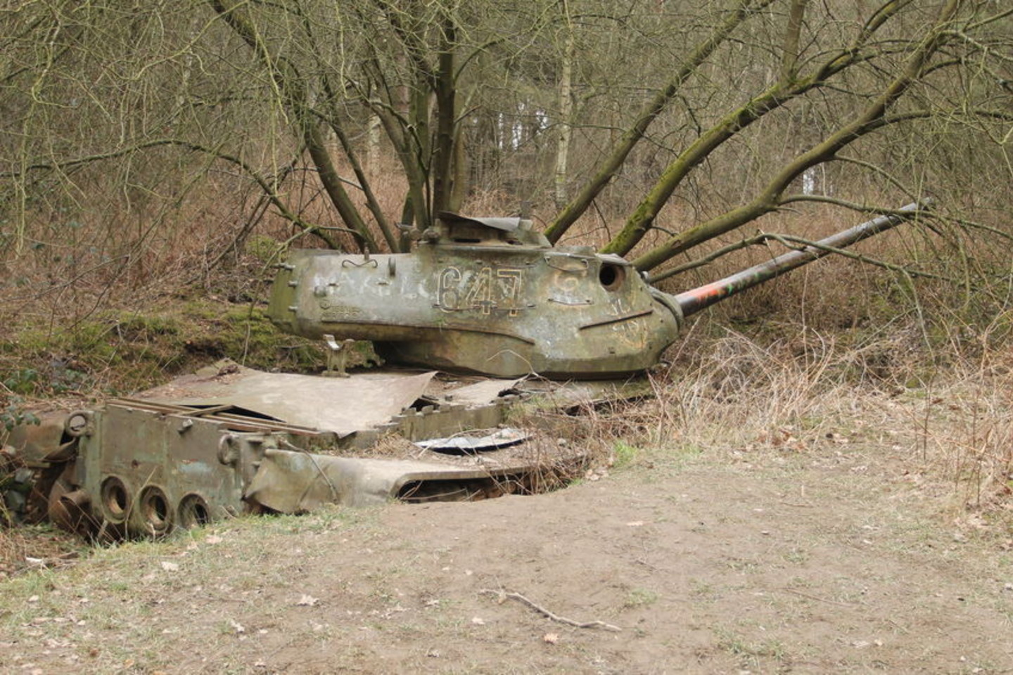 Garbaus amžiaus vyras pasakojo savo akimis matęs viename upelyje įstrigusį vokiečių tanką.