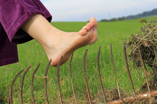 Dėl menko įbrėžimo darže – mirtis