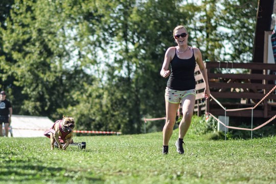 Lietuvių šunys kaimynėje šalyje kėlė baimę