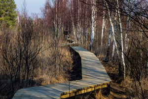 Pasižvalgei po pelkę – ir dink