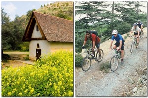 Žalioje Kipro širdyje galima tapti net atradėjais