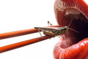 5 parazitai, kuriuos neįtardami suvalgo visi