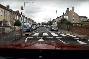 Vairuotojas nustebo pamatęs, ką daro katinas