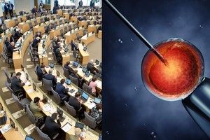 Seimas pagaliau nutarė, ką darys dėl pagalbinio apvaisinimo